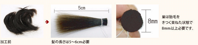赤ちゃん筆の長さと量・代々木八幡 美容室スプラッシュ